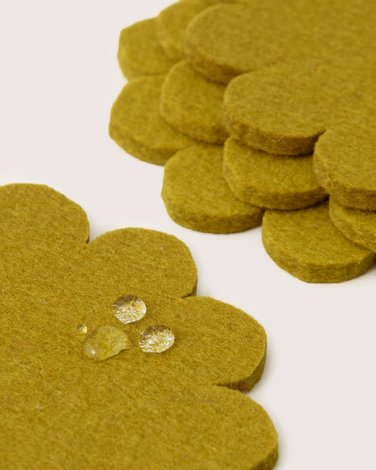 Crest Merino Wool Coaster Solid 4 Pack - Dandelion