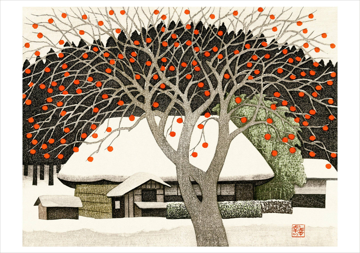 Kazuyuki Ohtsu: The Seasons Boxed Notecard Assortment