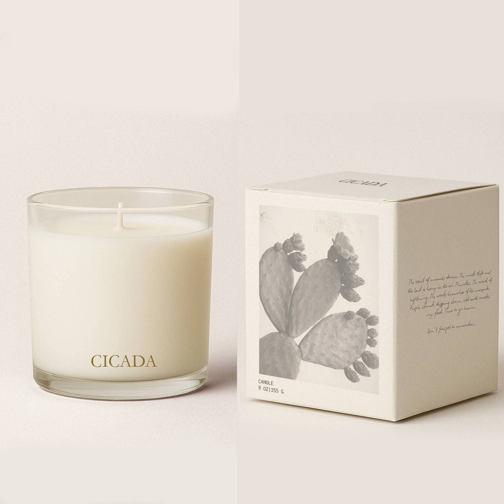 No. 09 Medium Candle - prickly pear