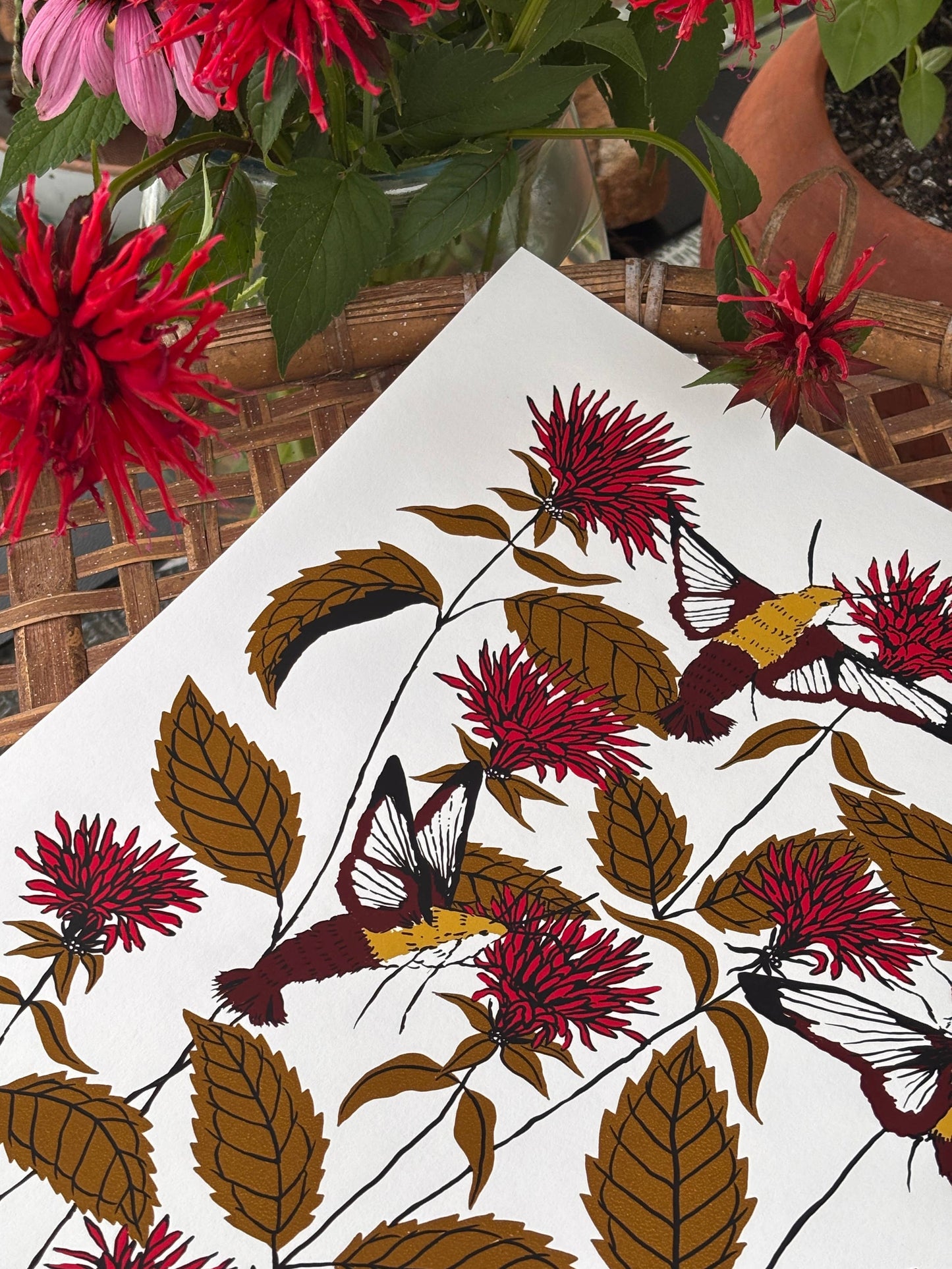 Bee Balm - 14x11 Print