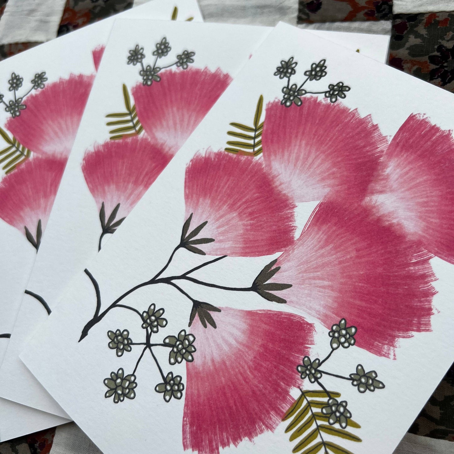 Mimosa - Invasive Pen Pal Cards: Set of 3