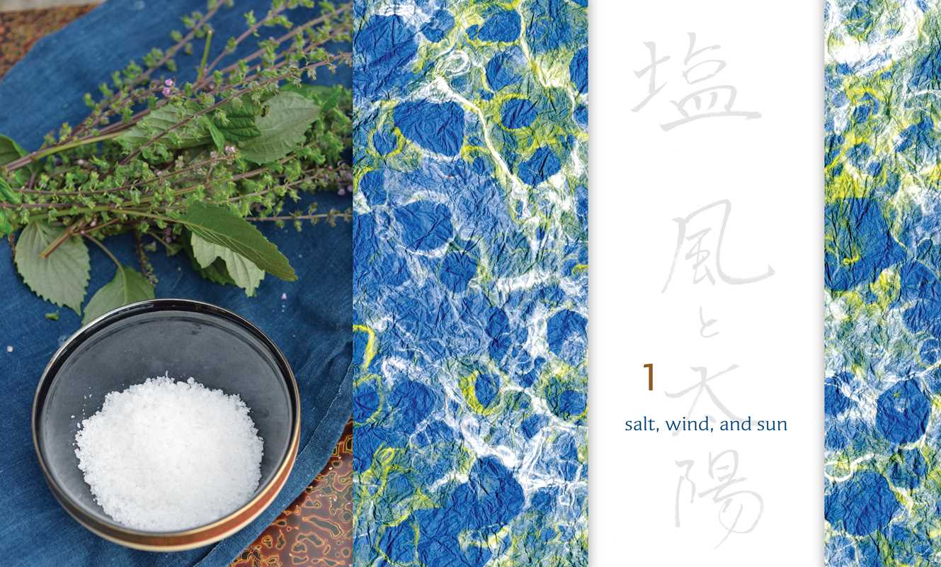 Preserving the Japanese Way by Nancy Singleton Hachisu