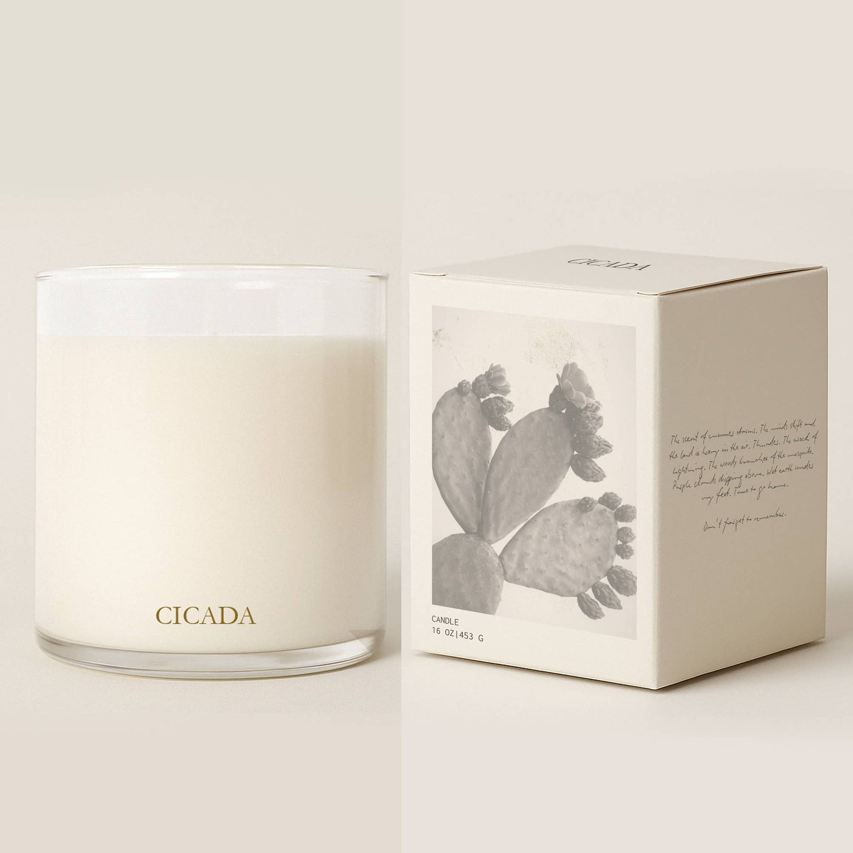 No. 09 Large Candle - Prickly Pear