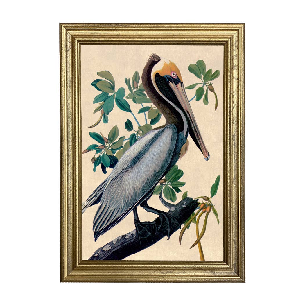 Brown Pelican Print Behind Glass in Gold Wood Frame