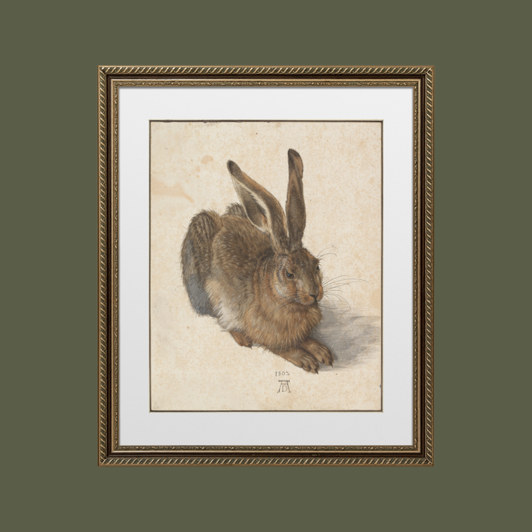 Young Hare Art Print