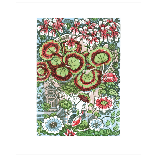 Pelargonium