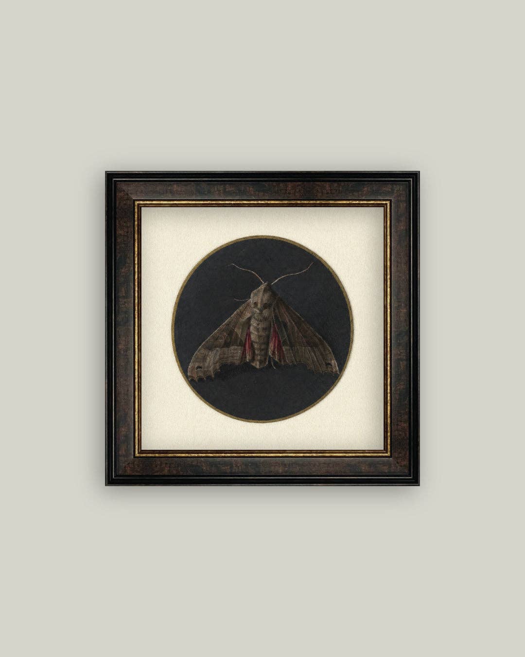 Dark Moth