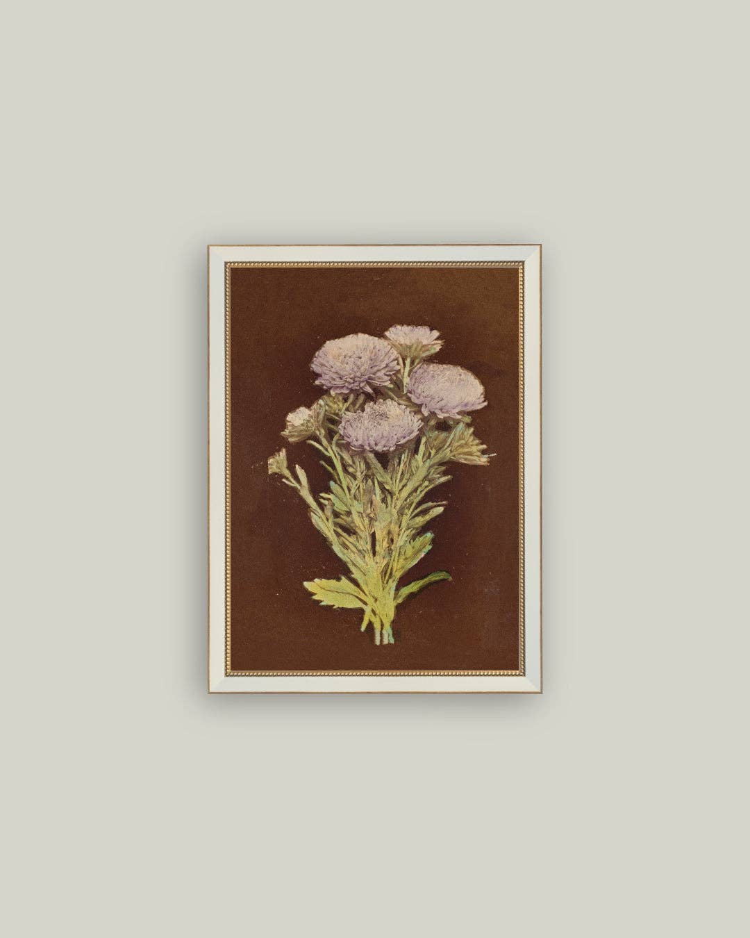 Lilac Dahlia on Brown: 4x6