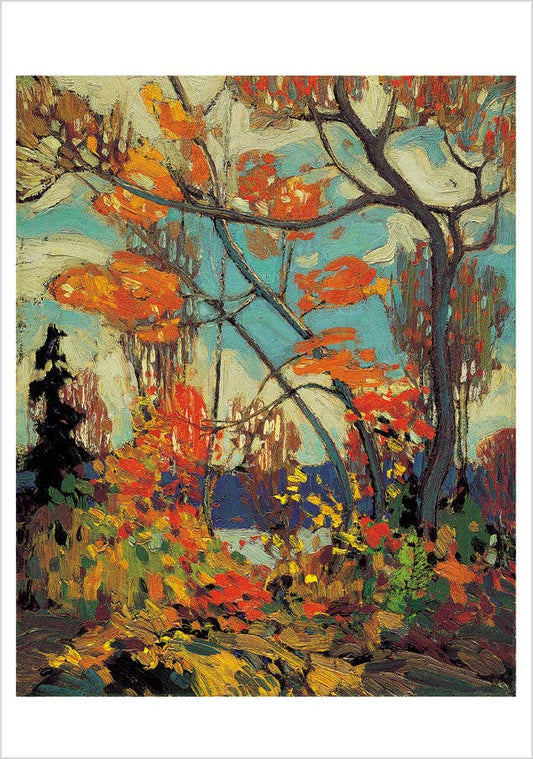 Tom Thomson Boxed Notecard Assortment