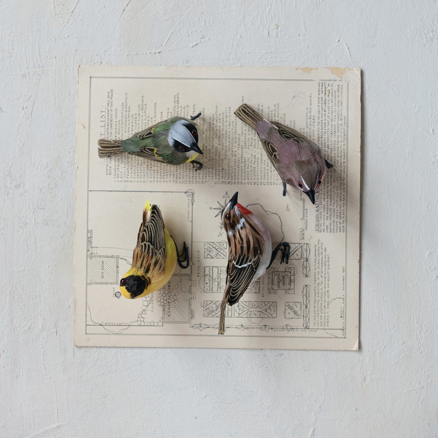 Bird Ornament with Feathers - 4 Styles