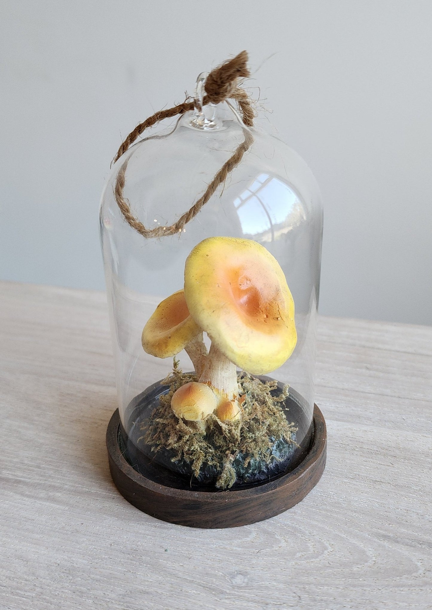 Glass Cloche Mushroom Ornament