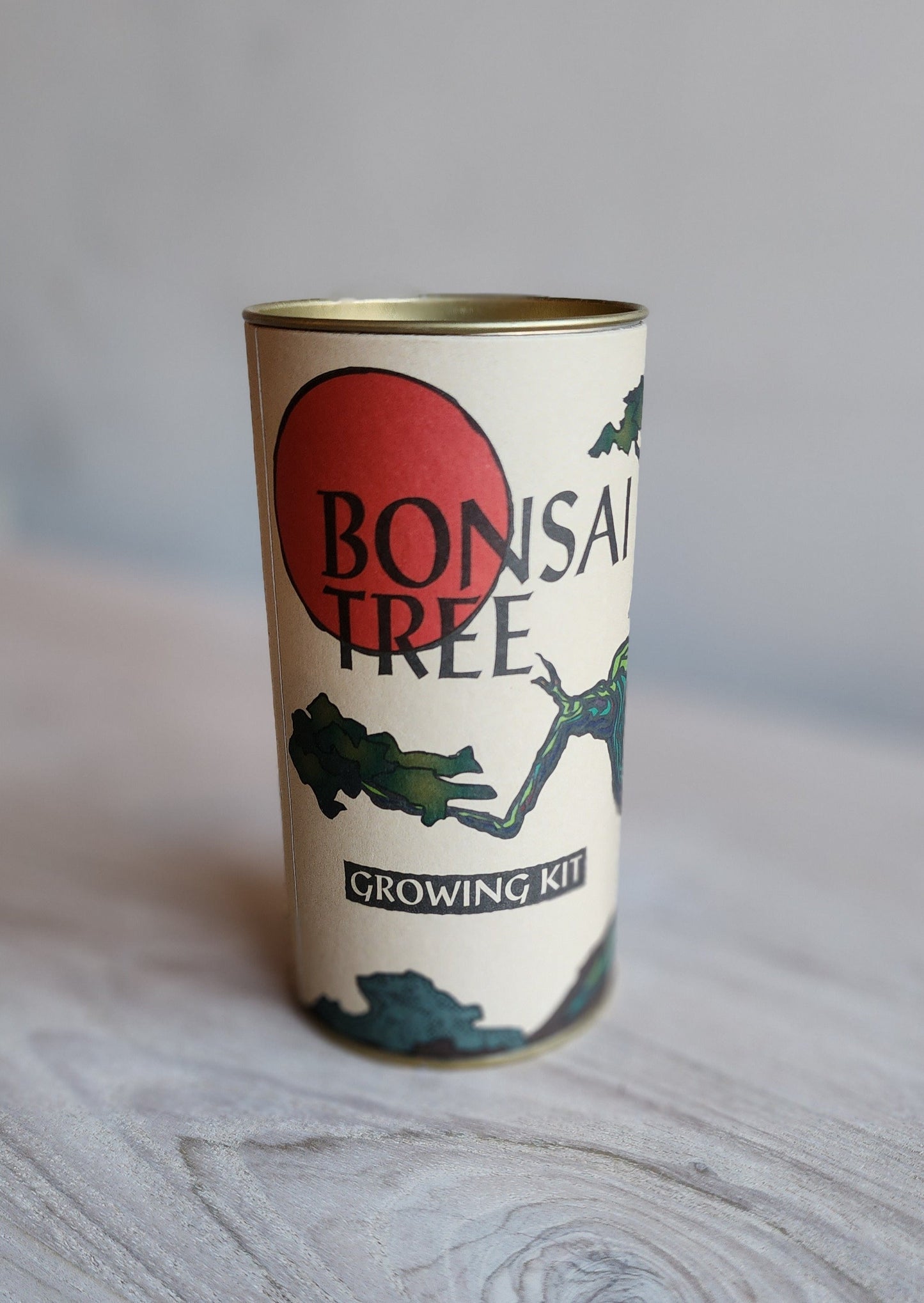 Bonsai Tree Grow Kit--Japanese Maple