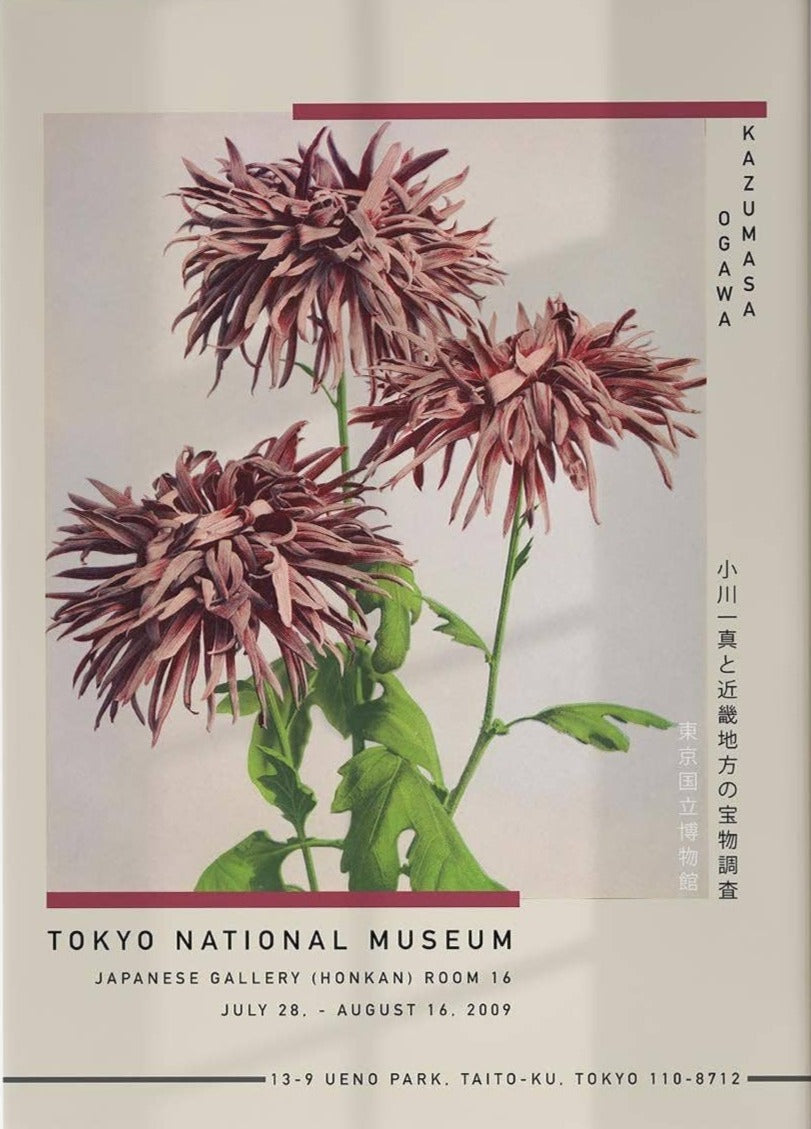 Three Pink Chrysanthemum by Kazumasa Exhibition Poster