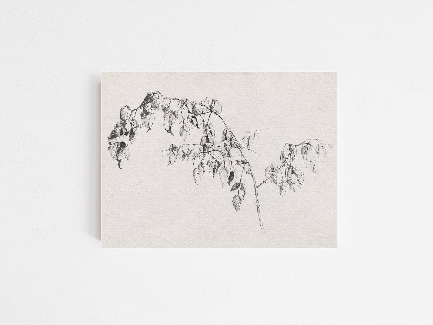 Branches Vintage Art Print