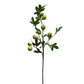 Faux Botanical Fig Spray - Green 36"